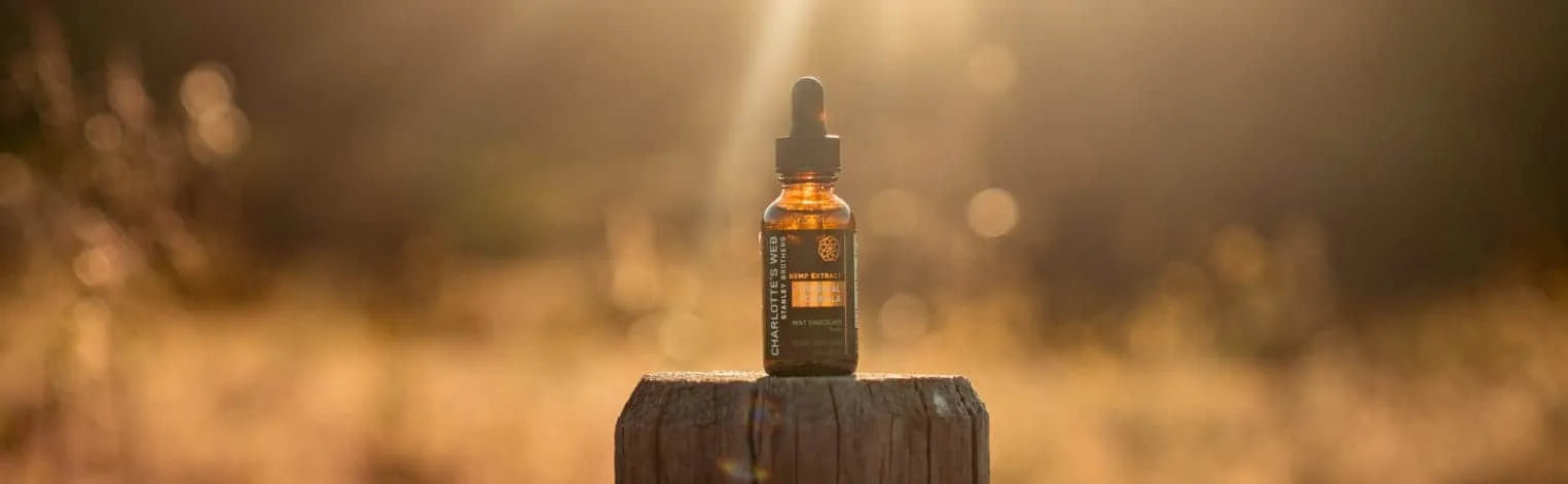 A bottle of Charlotte's Web CBD Oil tincture on a fence post with the sun shining in the background.