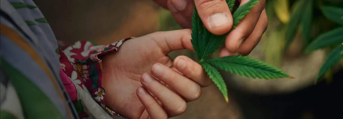 We Remember Charlotte, Two Years Later