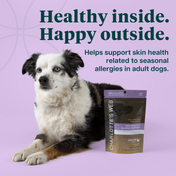 Product Image for Dog with a package of Charlotte's Web product on a purple background with text about skin health support.