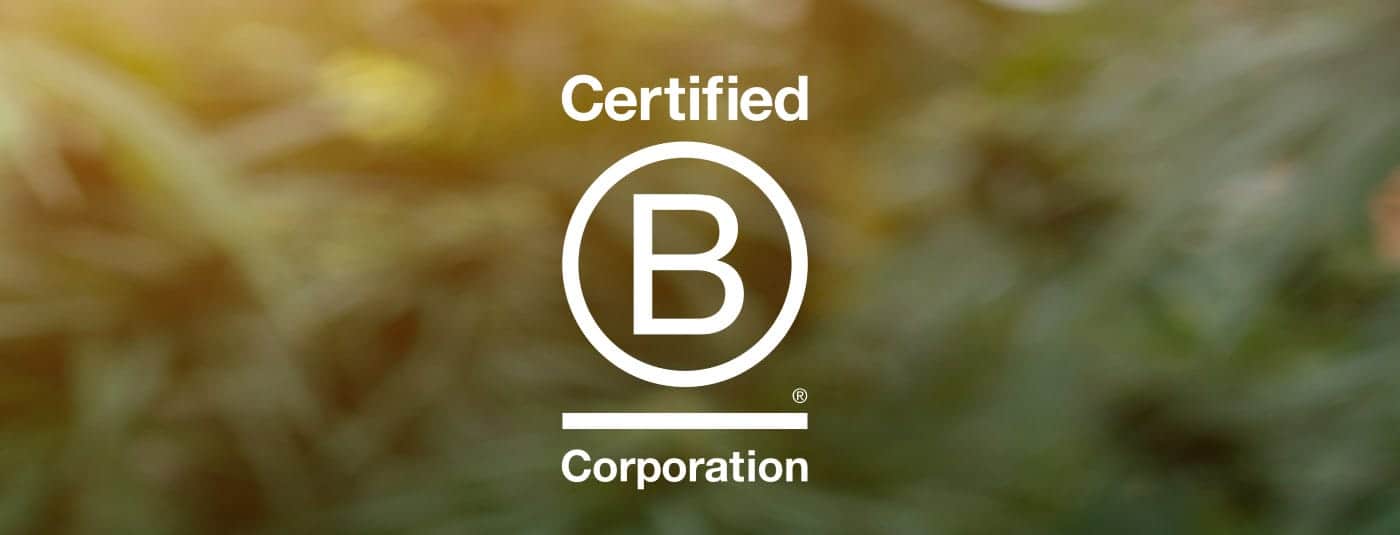 Growth for Good: Elevating Wellness for Our People and the Planet with Charlotte’s Web