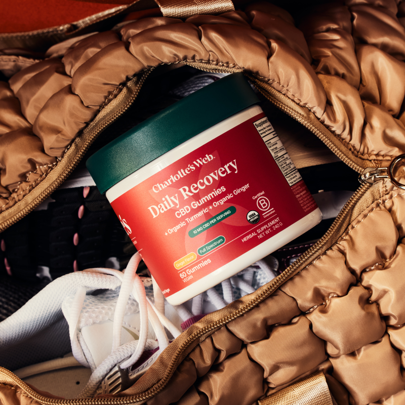 Jar of Charlotte's Web Daily Recovery CBD Gummies in brown gym bag