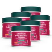 Product Image for Multiple containers of Charlotte's Web Daily Recovery CBD Gummies on a white background