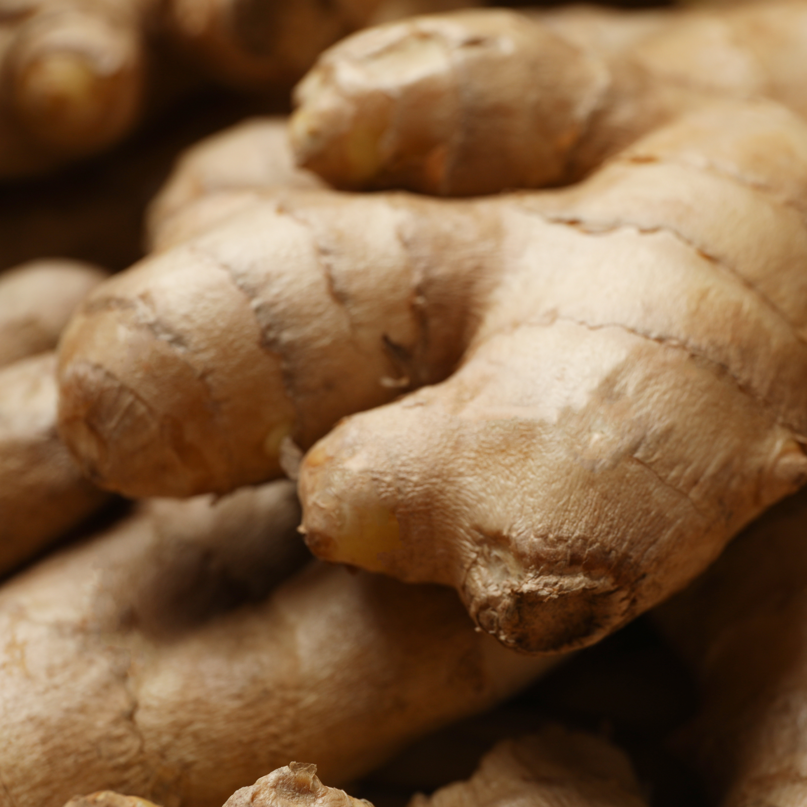 Product Image for Close-up of ginger roots with a warm brown color.