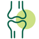 Icon of a knee joint with a green circle on a white background