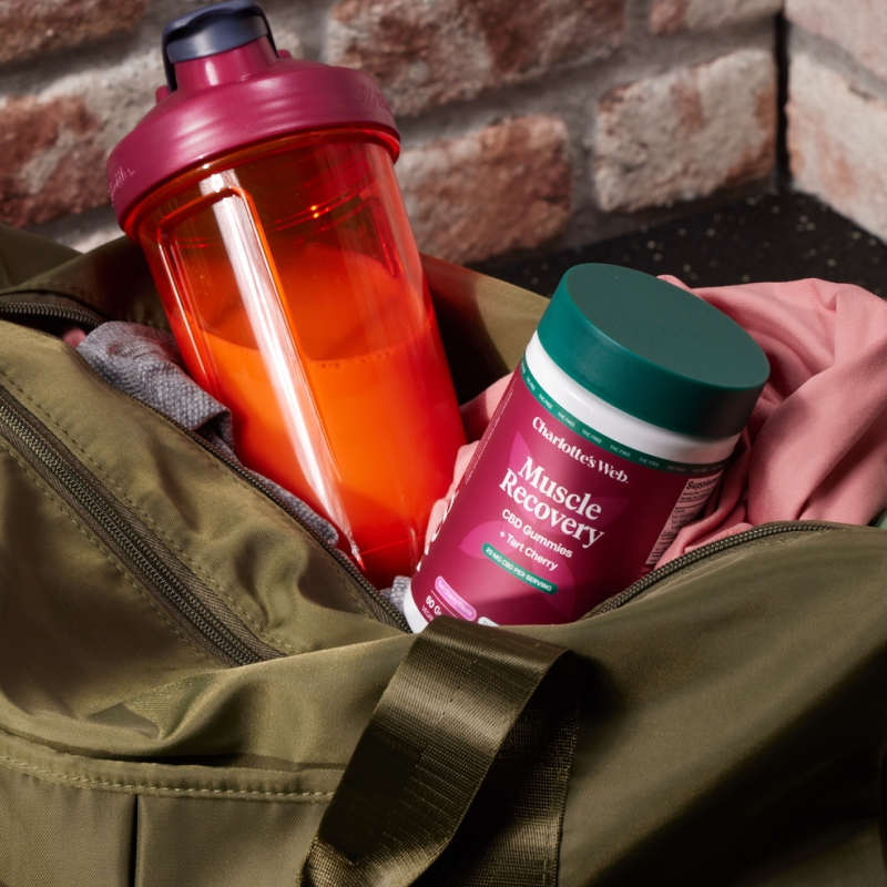 Orange shaker bottle and jar of Muscle Recovery in a green bag against a brick wall.