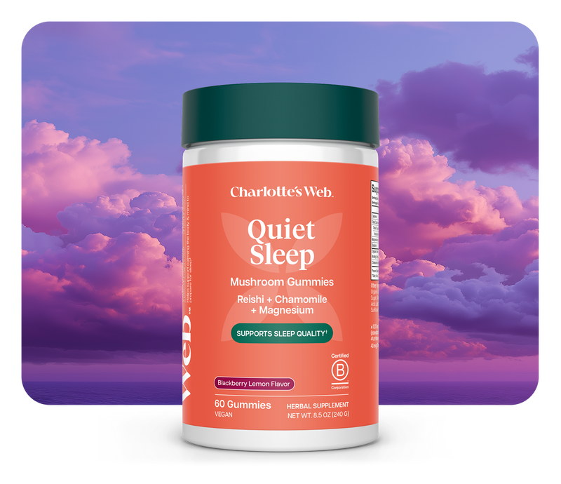 Charlotte's Web Quiet Sleep supplement container with a colorful sky background
