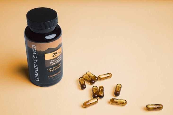 How to Incorporate CBD into Your Daily Routine