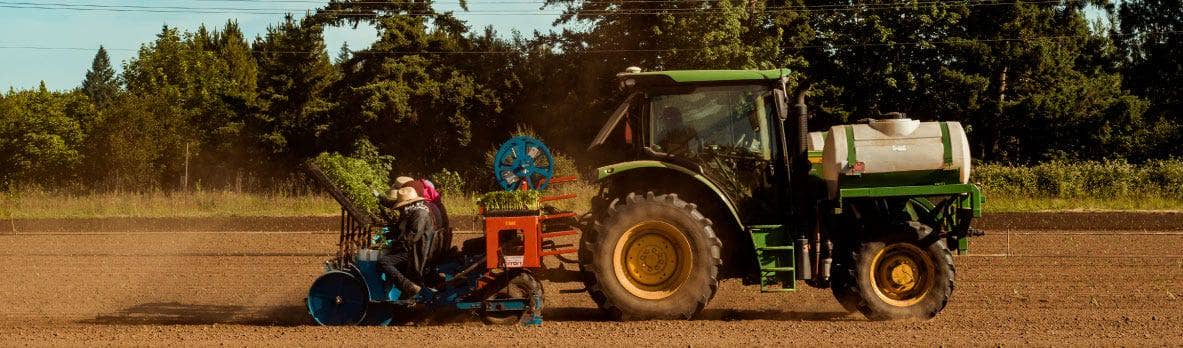The Charlotte’s Web Hemp Production Process—From Seed to Shelf to You