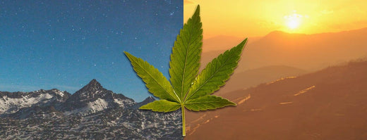 A hemp leaf in the center, dividing a nighttime mountain landscape on the left from a sunrise over mountains on the right, symbolizing the contrasting effects of CBD (daytime, relaxing) and CBN (nighttime, sleep-supporting). 