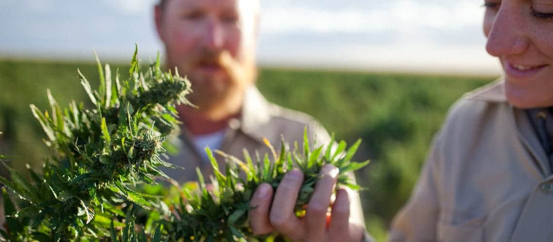 What Does CBD Stand For?