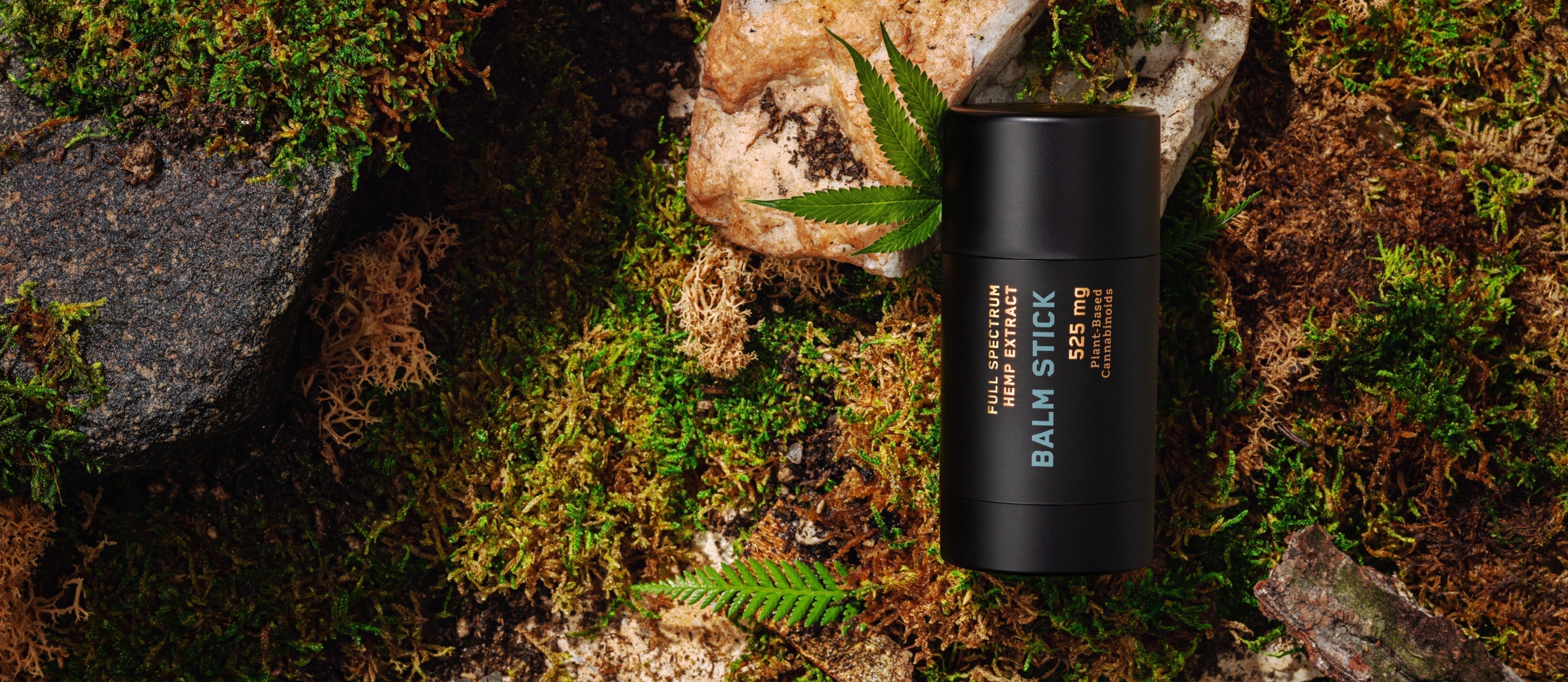 Charlotte's Web CBD Topical Balm Stick product against a nature background.