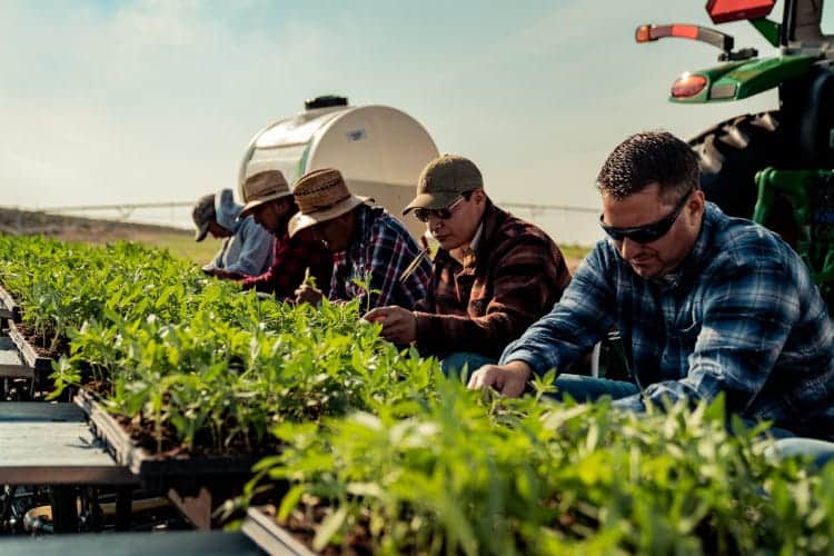 Beyond the Seed: Four Faces On The Farm in Planting Season