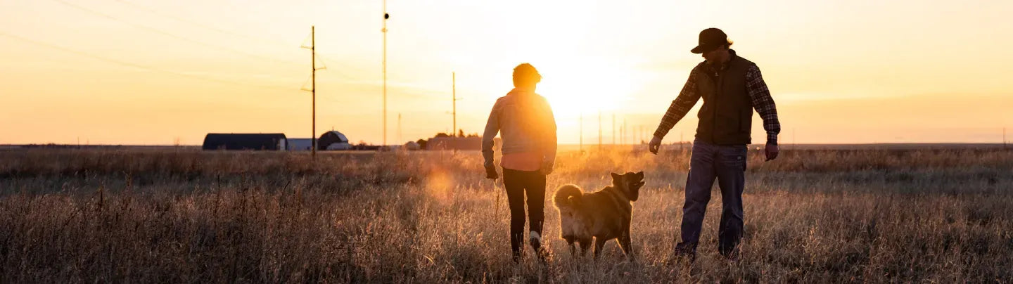 Top 5 Ways to Relieve Pain in Your Feet