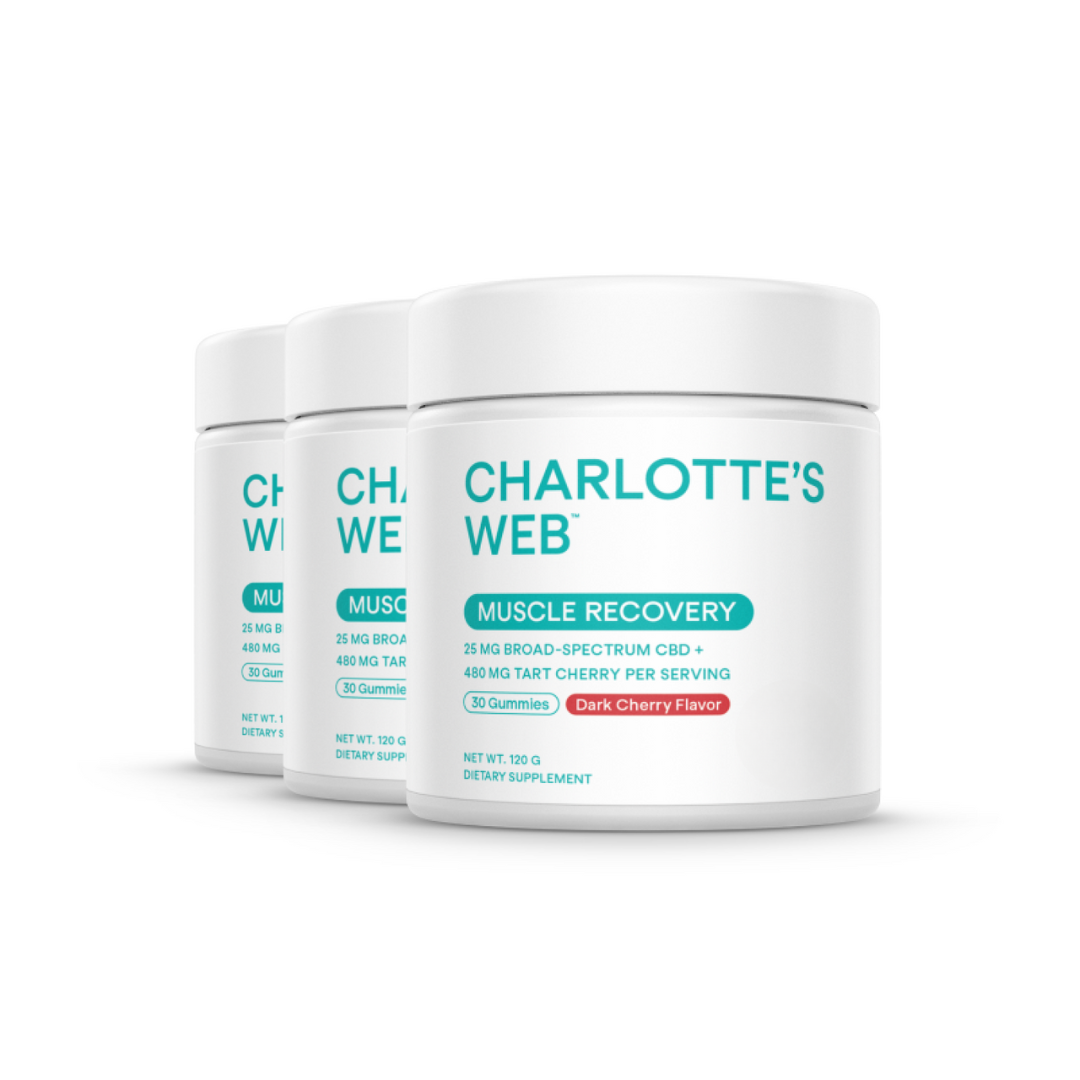 Muscle Lover Bundle