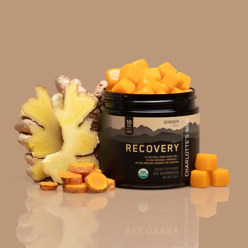 Recovery Gummy - 6 CT