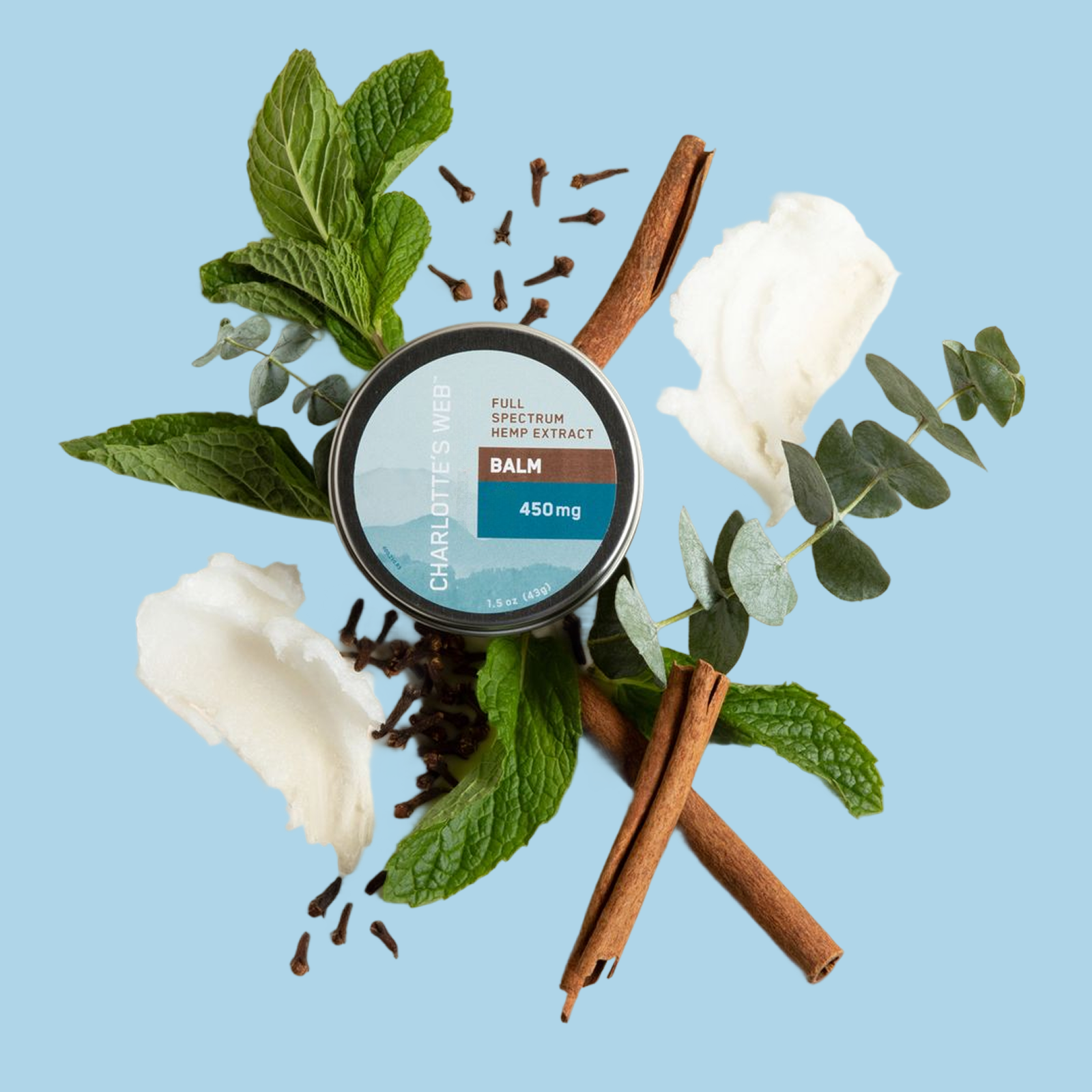 Product Image for Balm container with cinnamon sticks, mint leaves, and eucalyptus on a light blue background