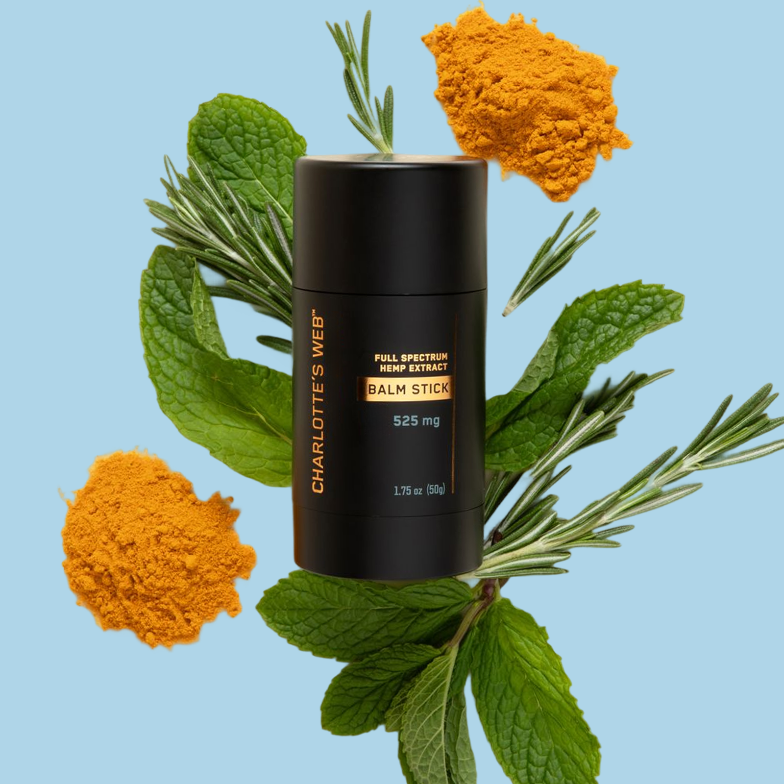 Black balm stick with 'Charlotte's Web' branding surrounded by green leaves and orange powder on a light blue background