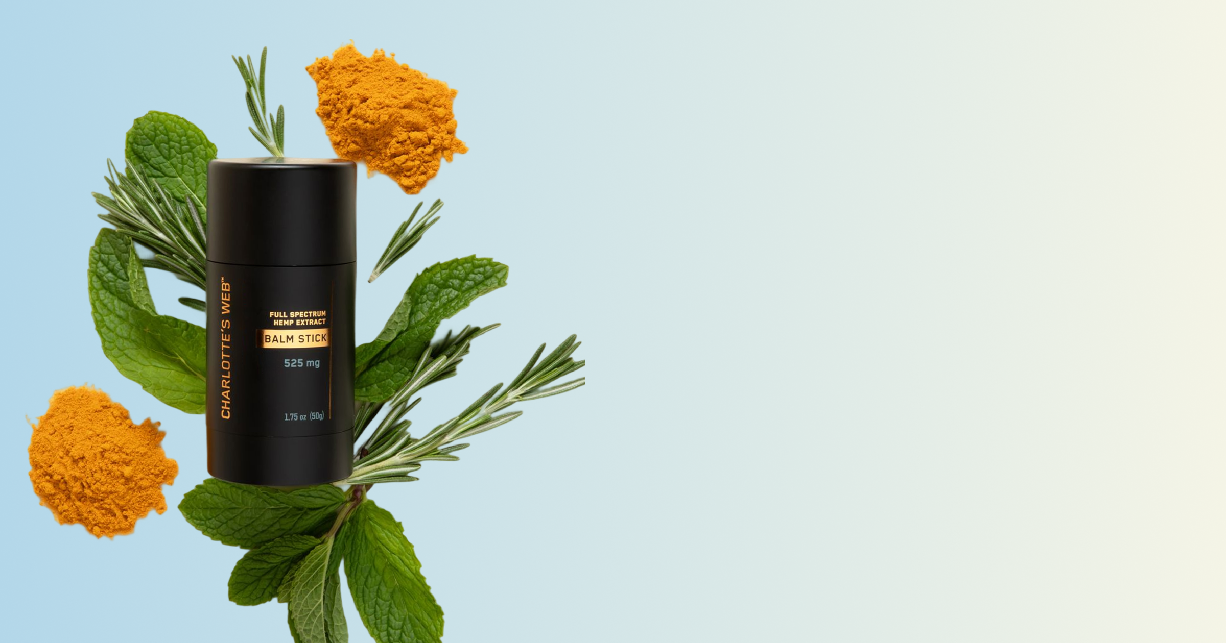 Black balm stick with 'Charlotte's Web' branding surrounded by green leaves and orange powder on a light blue background