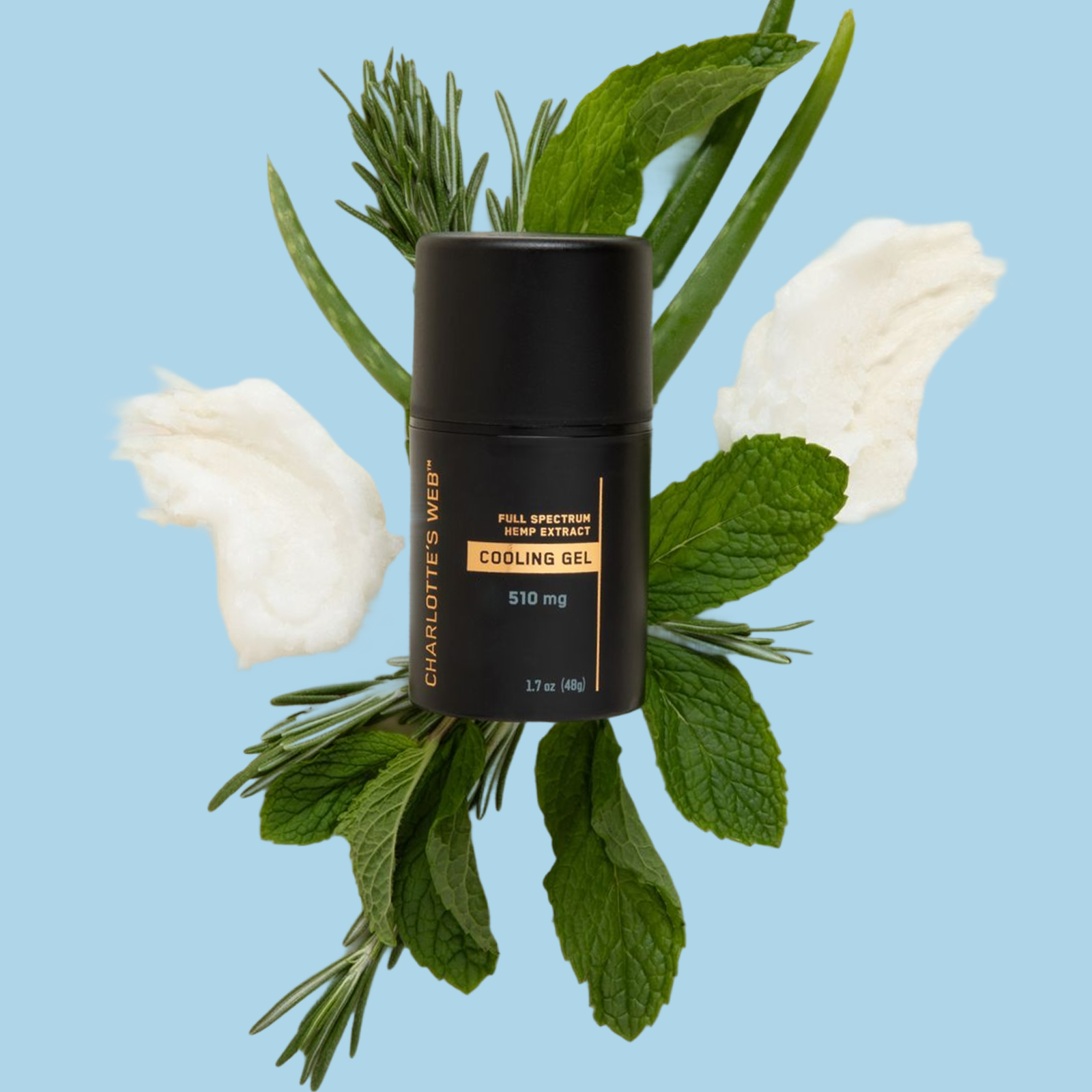 Black container of Charlotte's Web cooling gel surrounded by green leaves on a light blue background