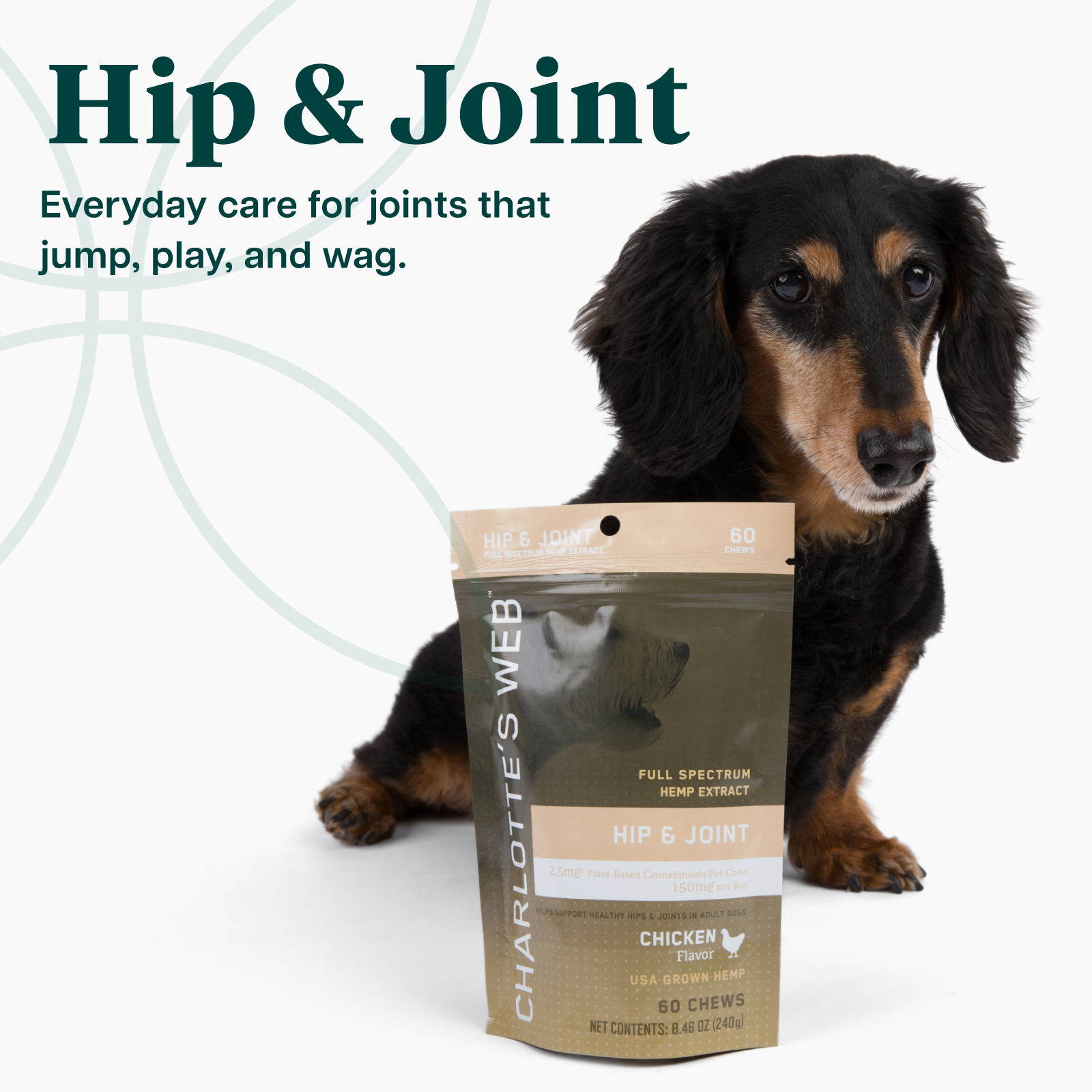 Dog next to a package of Charlotte's Web Hip & Joint chews on a white background
