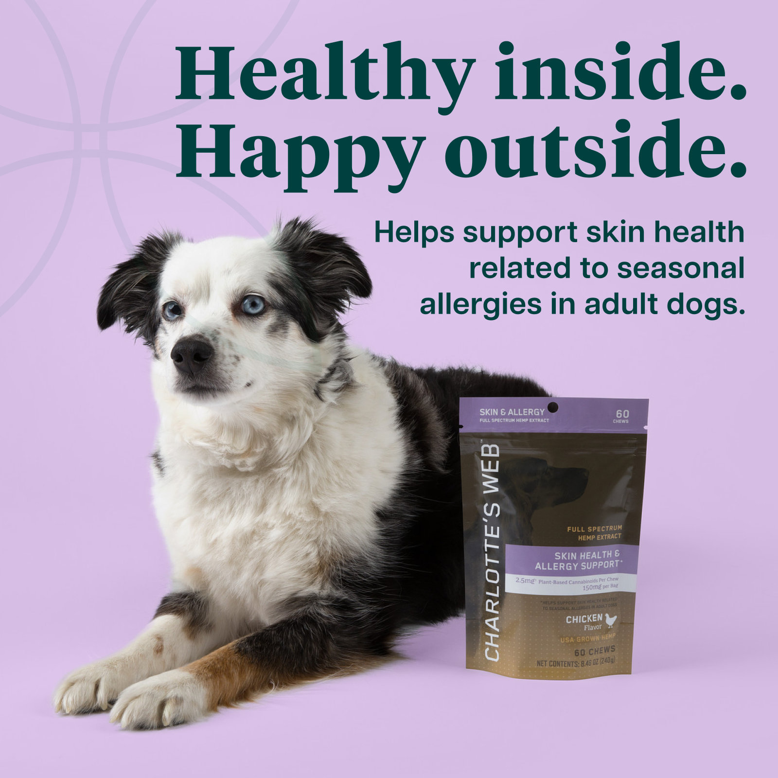 Dog with a package of Charlotte's Web product on a purple background with text about skin health support.