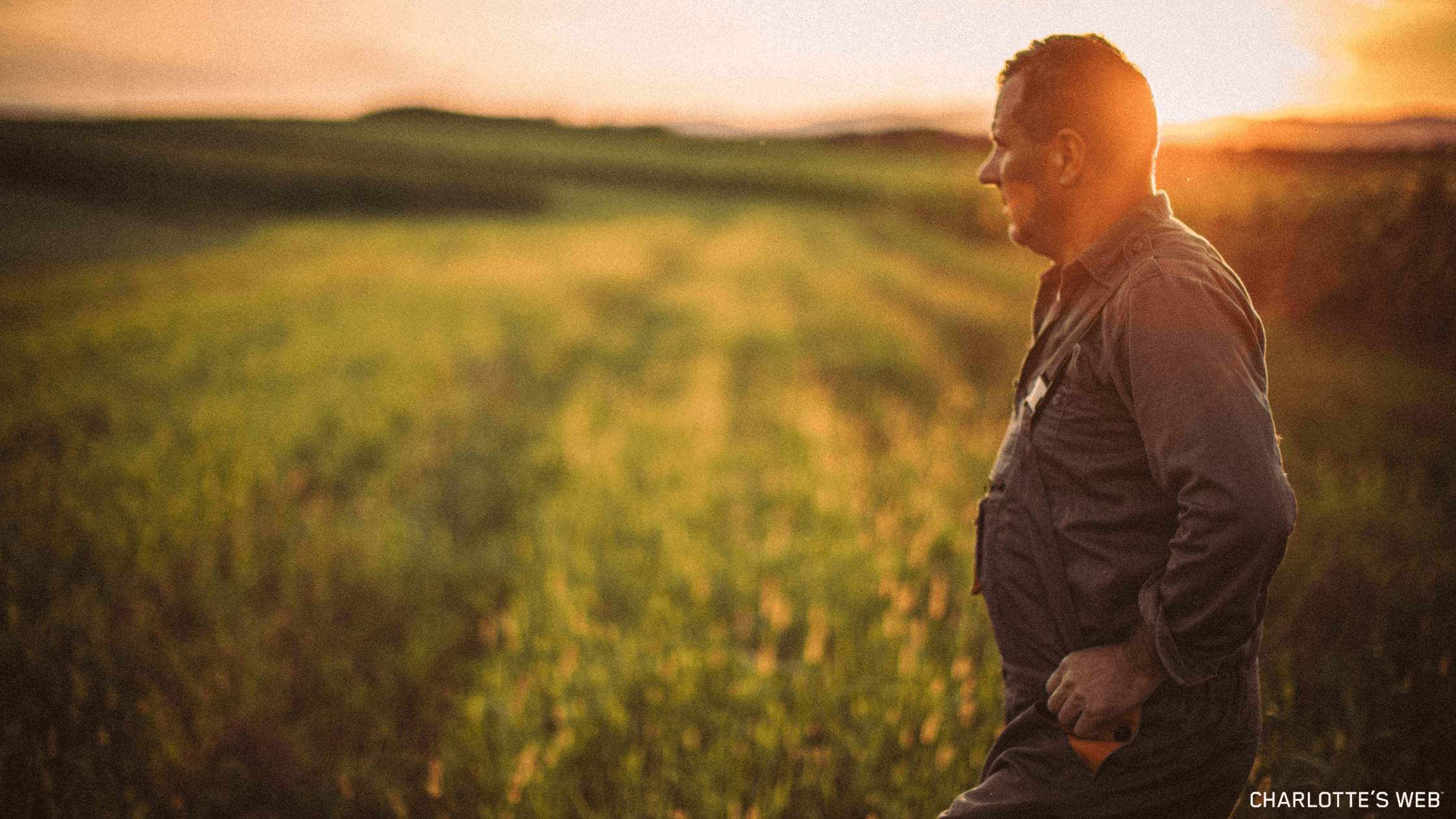 Man standing in a field at sunset looking into the horizon