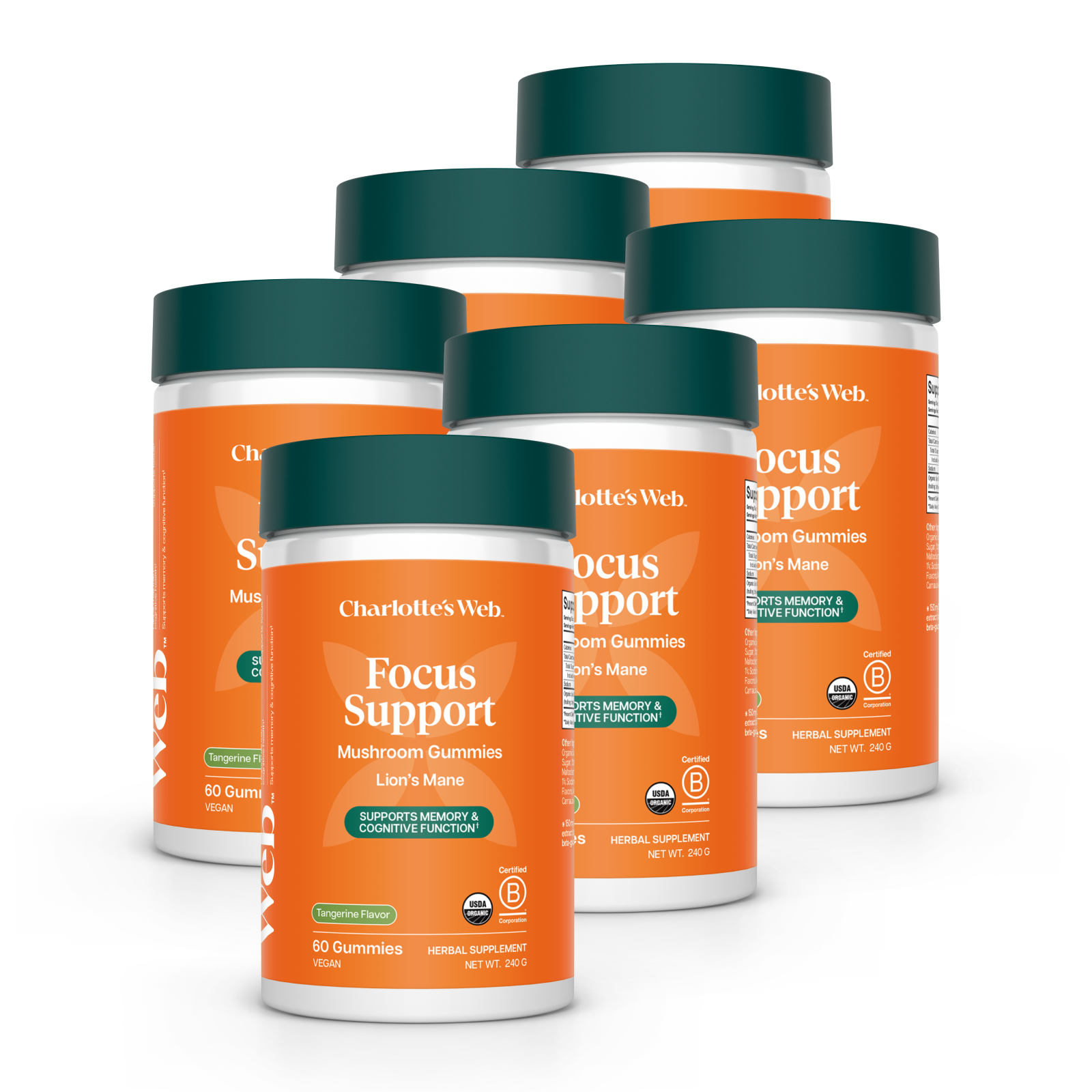 Product Image for Multiple bottles of Charlotte&#39;s Web Focus Support supplement on a white background