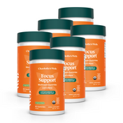 Product Image for Multiple bottles of Charlotte&#39;s Web Focus Support supplement on a white background