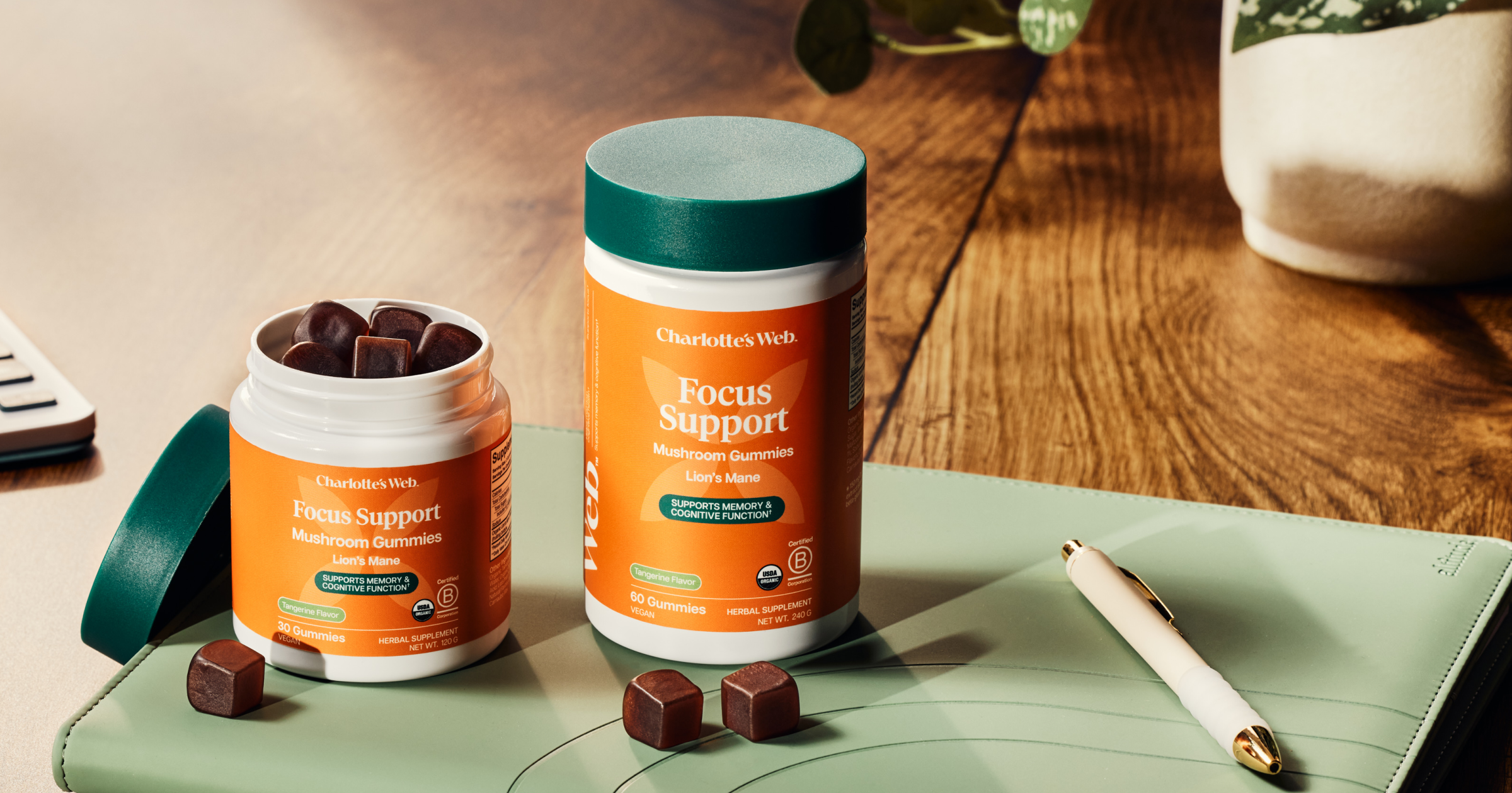 Two jars of focus support mushroom gummies sitting on desk 