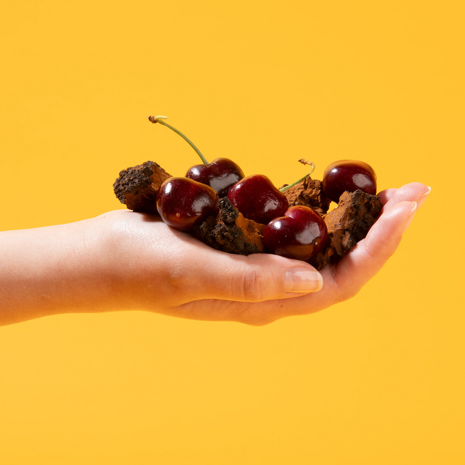 Muscle Restore Mushroom Gummy