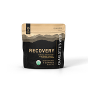 Product Image for Recovery Gummy - 6 CT