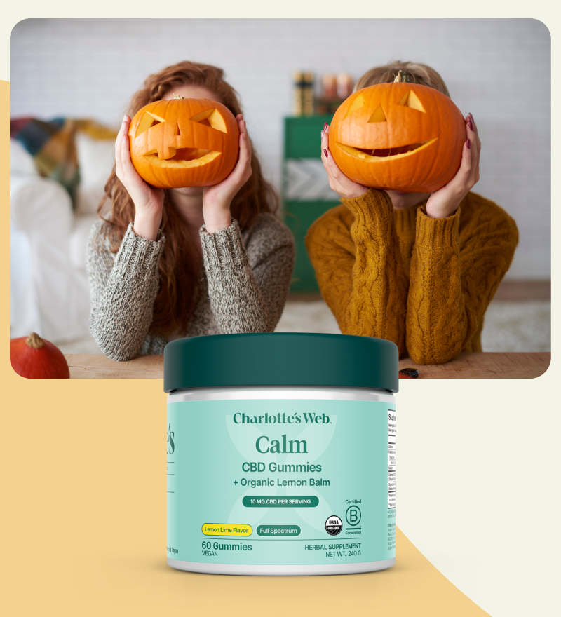 Two people holding carved pumpkins with a jar of Charlotte's Web Calm CBD Gummies on a yellow background.