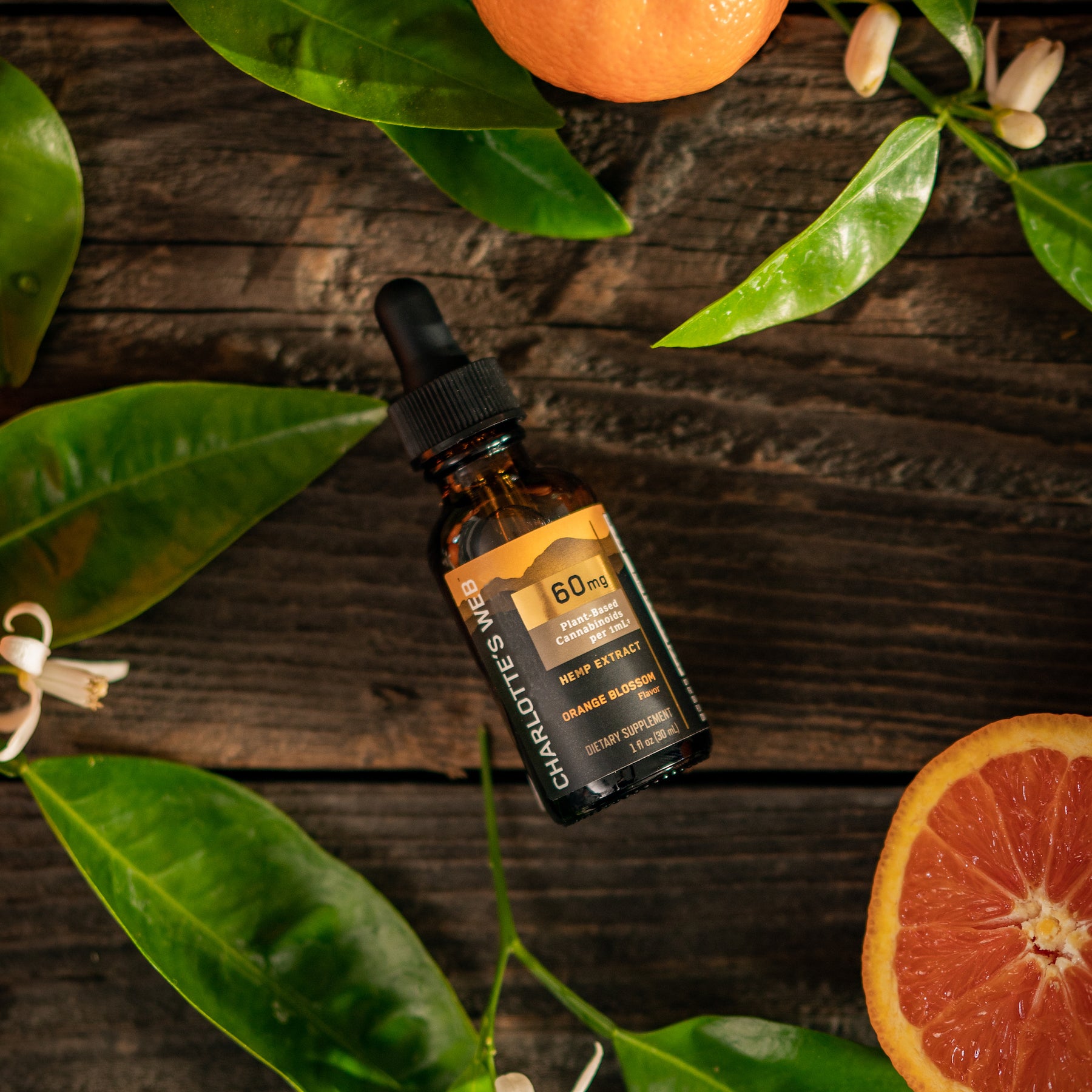 Top 7 Uses and Benefits of CBD Oil