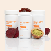 Go. Go. Go. Bundle