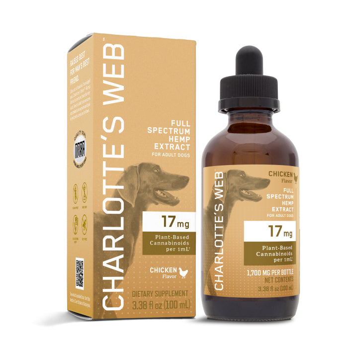 CBD Oil for Dogs