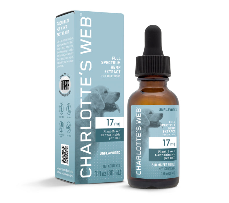 CBD Oil for Dogs