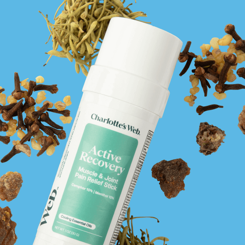 Active Recovery Muscle & Joint Pain Relief Stick