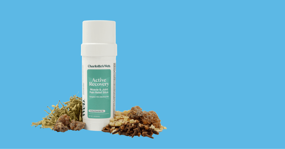 Charlotte's Web Active Recovery Muscle & Joint Pain Relief Pain Stick on a blue background with ingredients.