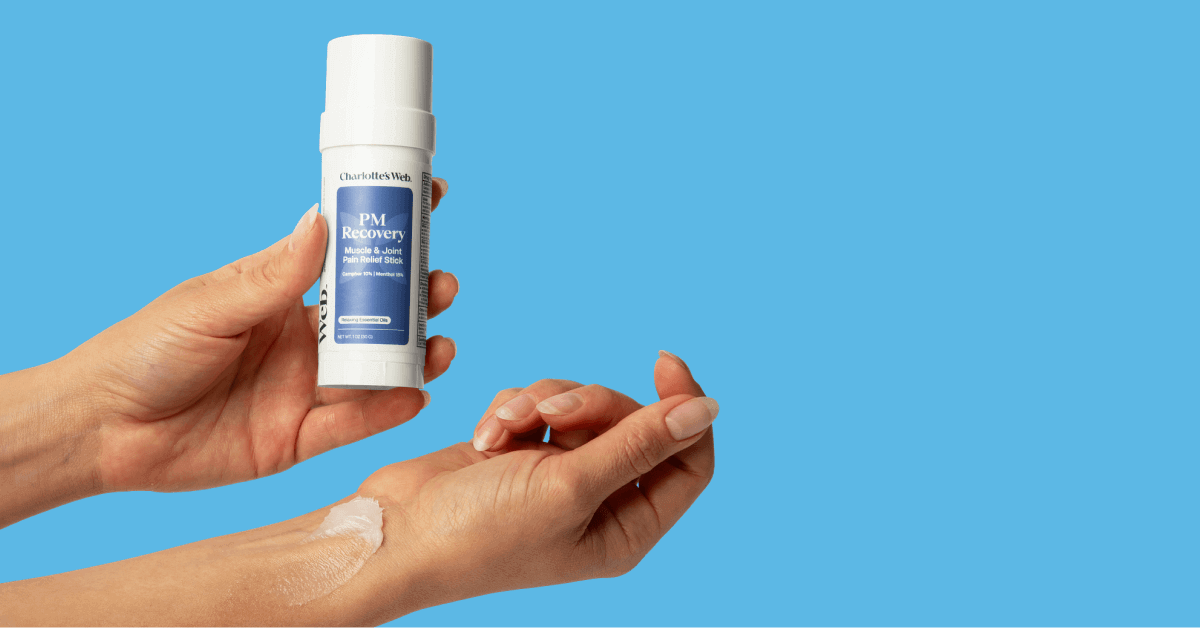 Hand holding a Charlotte's Web PM Recovery Muscle & Joint Pain Relief Stick with a blue background