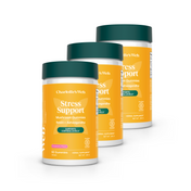 Product Image for Stress Support Mushroom Gummies Bundle by Charlotte&#39;s Web, featuring Reishi, Ashwagandha in strawberry flavor.