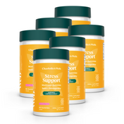 Product Image for Stress Support Mushroom Gummies Bundle featuring Reishi and Ashwagandha, strawberry flavored wellness supplement.