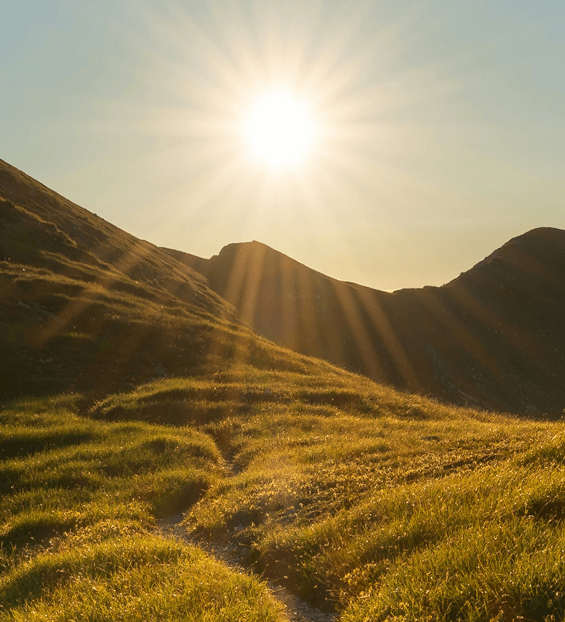 Sunrise over a grassy hillside with sunlight beams