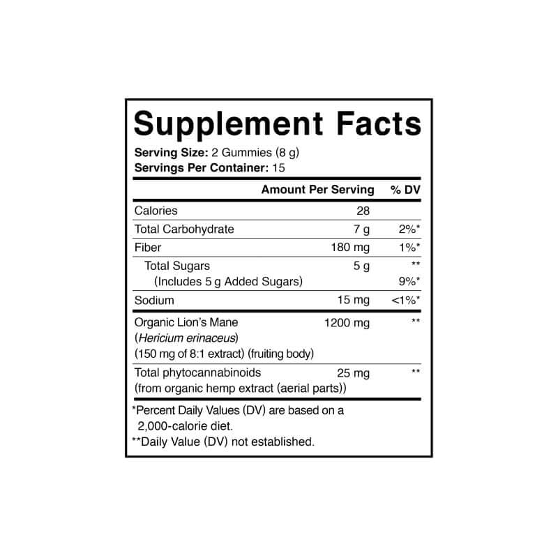 CBD Brain Support Gummies 3-Pack