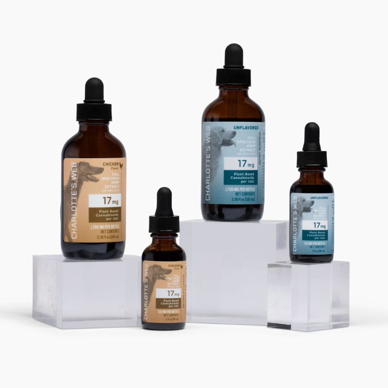 CBD Oil for Dogs
