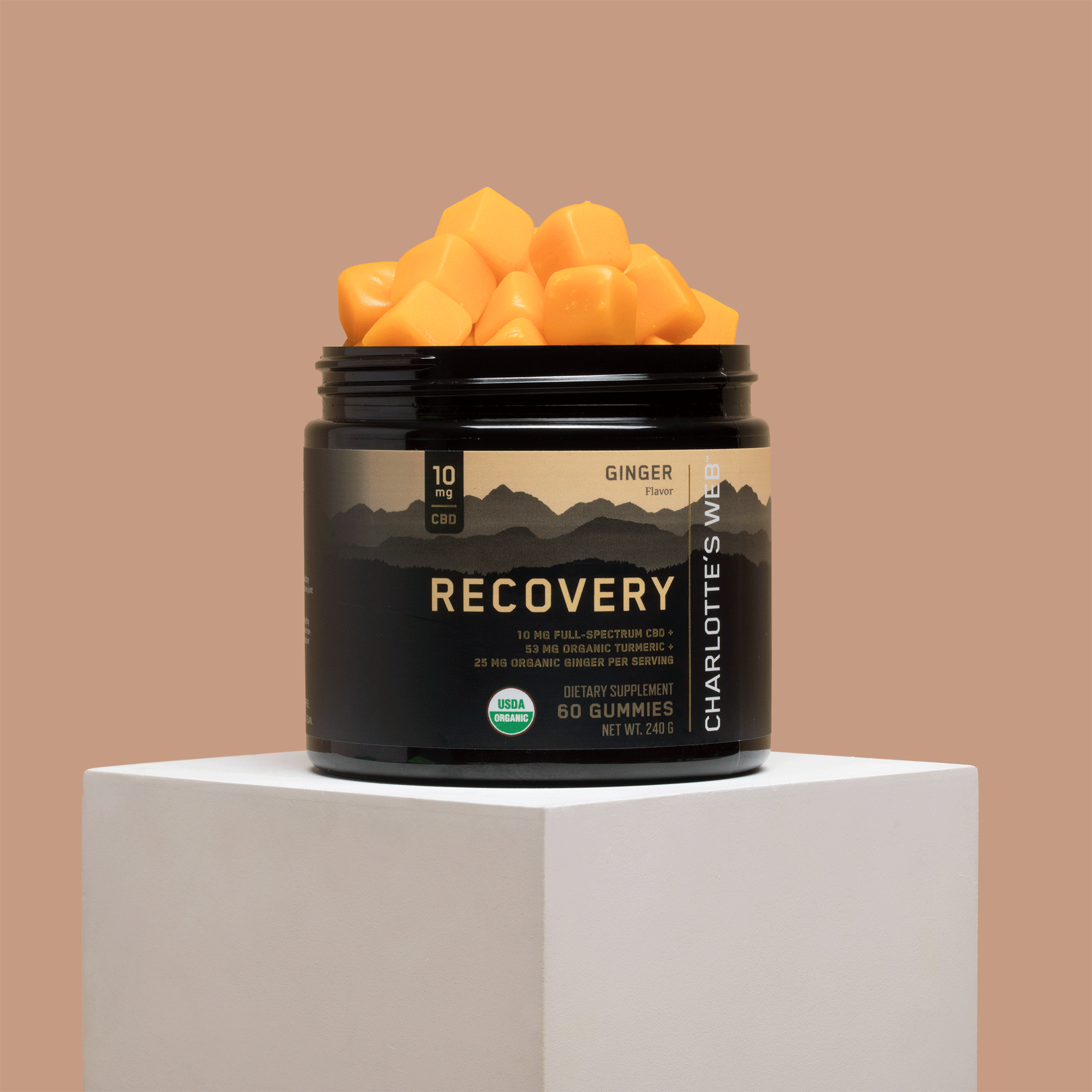 Recovery Gummy