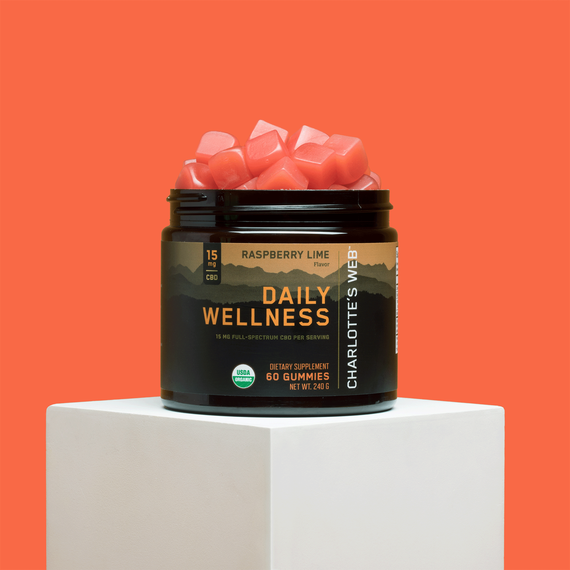 Daily Wellness Gummy